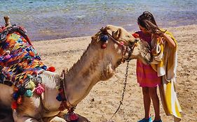 Swisstouch Oriental Resort